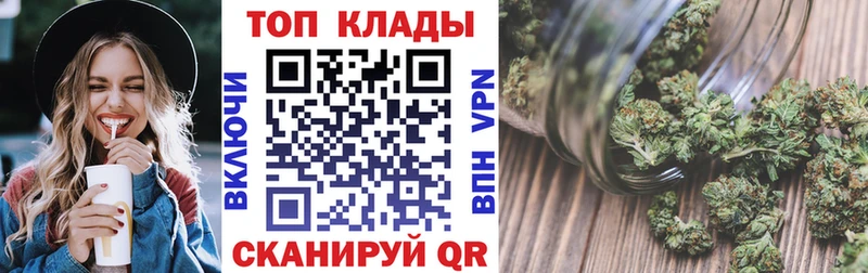 Виды наркотиков купить Новая Ладога Псилоцибиновые грибы  Мефедрон  ГАШ  Кокаин 