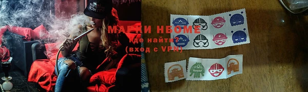 амф Елабуга