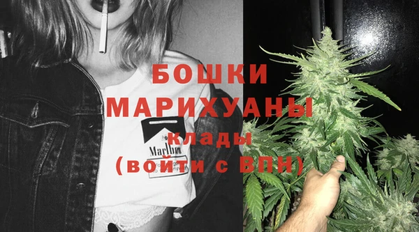 амф Елабуга