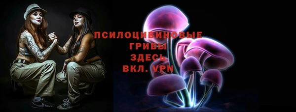 герыч Ельня