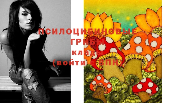 герыч Ельня