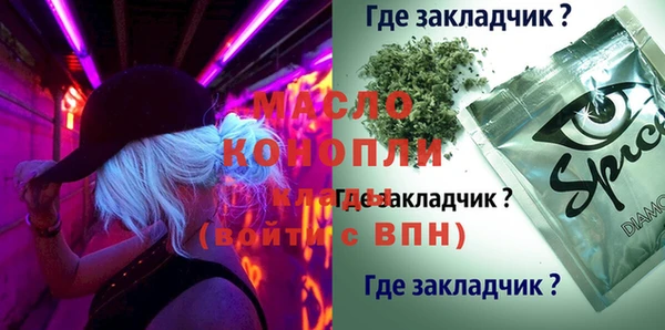 амф Елабуга