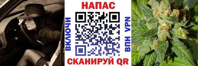 хочу Новая Ладога Бошки Шишки семена